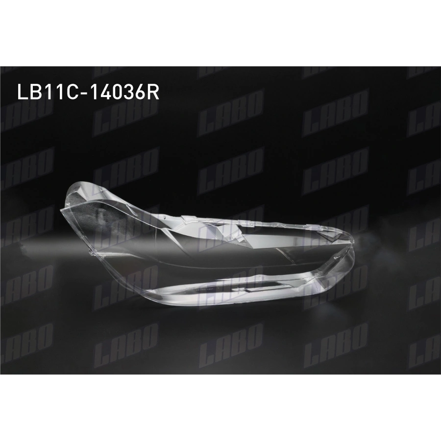 FAR CAMI SAG BMW X2 (F39 LCI) 2018-2020 (A1)