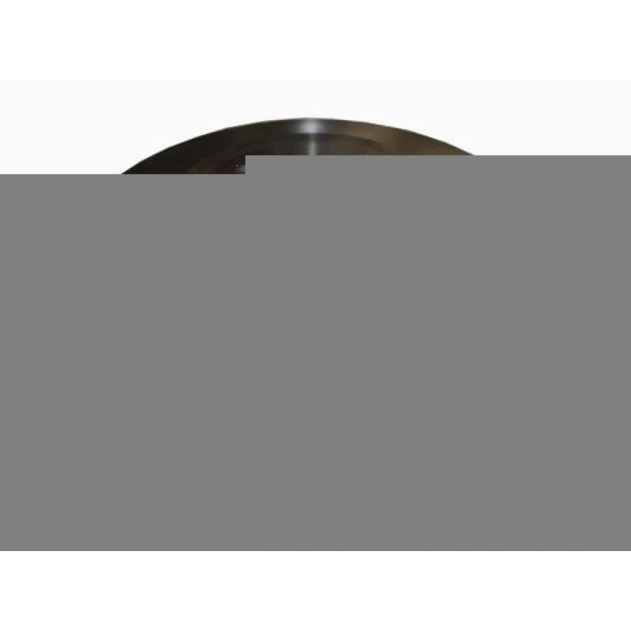 FREN DISKI ARKA HAVALI KAPLAMALI PERFORMANS DELIKLI 5 BJN 302X22X53,5X50,7 VOLVO XC60 D3 - D4 - D5 - 2.4 D 2008-2017