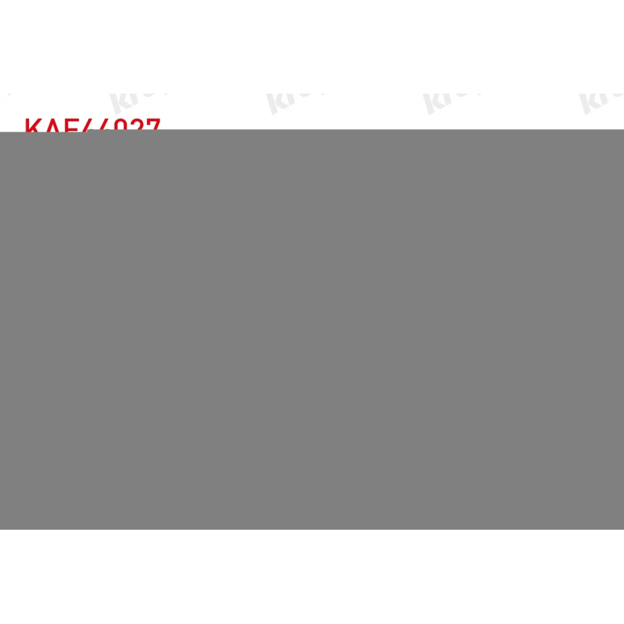 HAVA FILTRE BORA - GOLF IV - GOLF V - LEON - TOLEDO II 1.6i 1997-2009/ POLO - FABIA - OCTAVIA - IBIZA IV - CORDOBA 1.4i 1999-2012