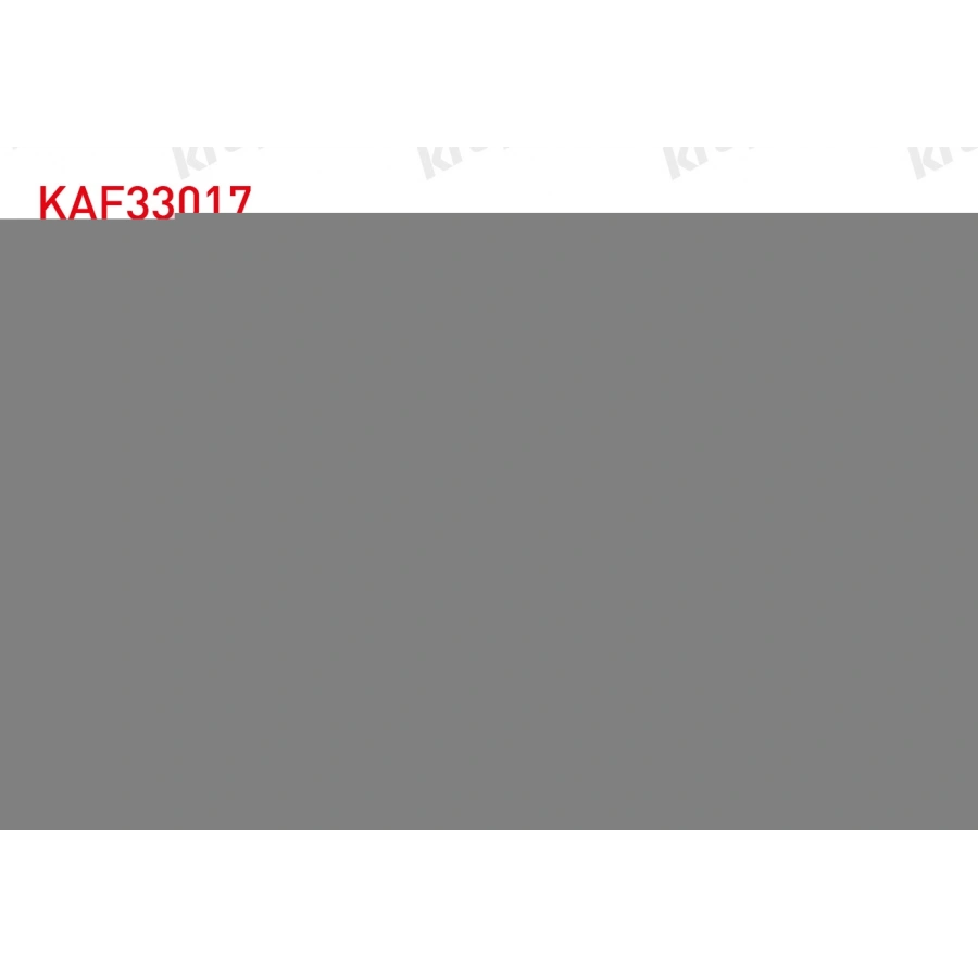 HAVA FILTRE POSETLI PEUGEOT 307/308/DS5 2.0 HDI 04 -