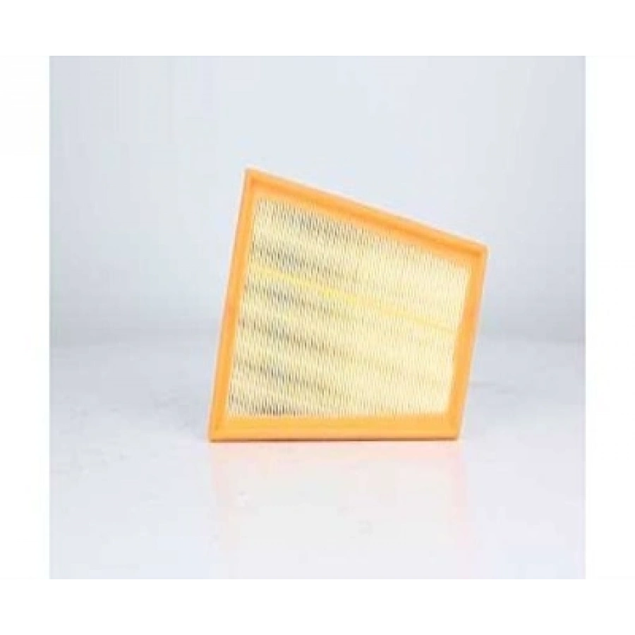 HAVA FILTRESI 307/C4 B.M 02-