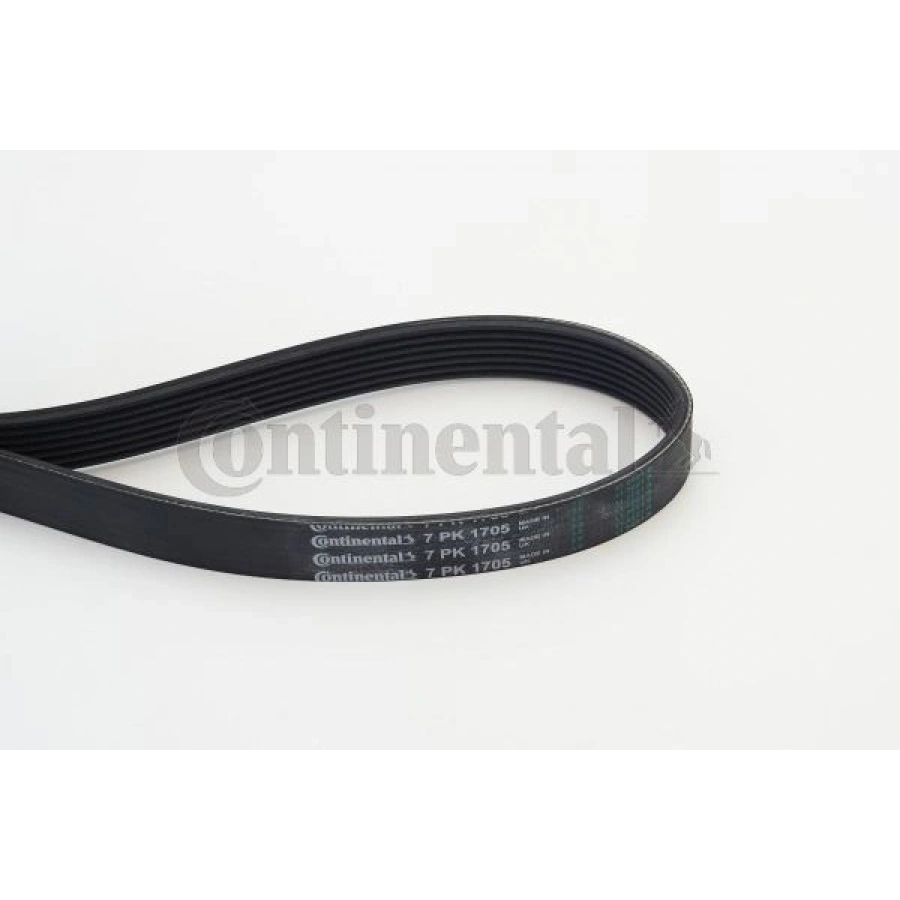 KANALLI KAYIŞ AUDI ESCORT 1.4 1.6 90>00 TOURNEO 2.5D 8V 94>00 TRANSIT 2.5D 8V 94>01 SUZUK