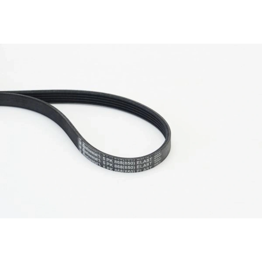 KANALLI V KAYIŞ SETİ