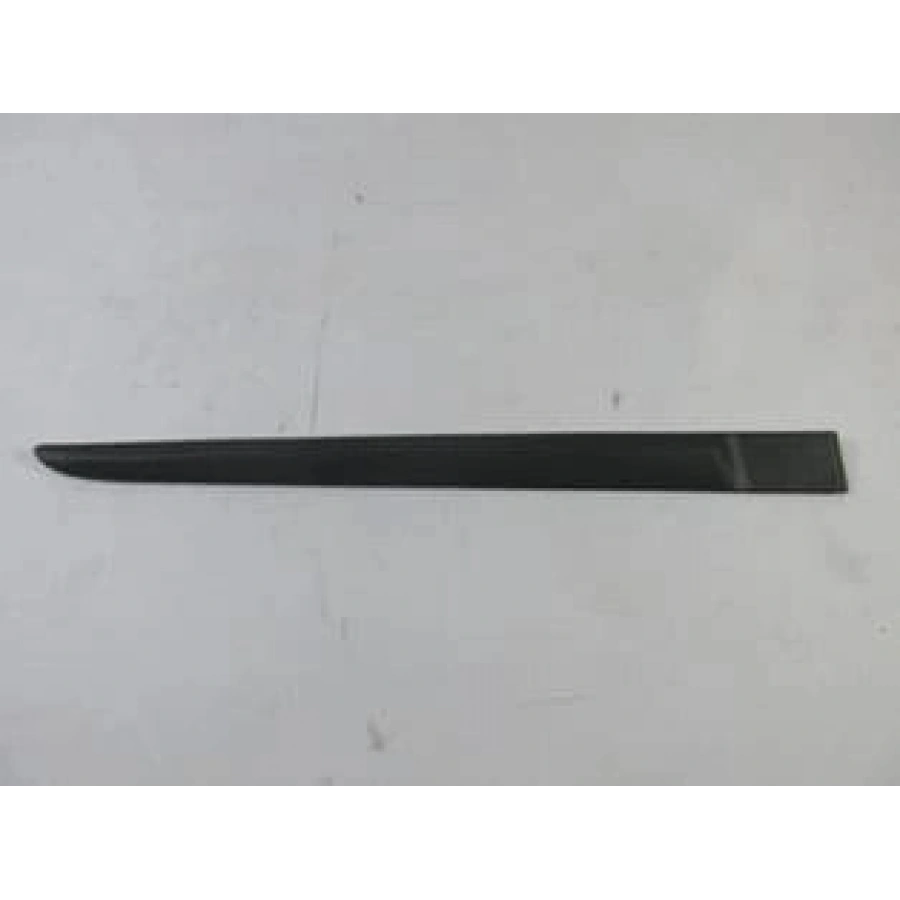 KAPI ÇITASI ARKA SAĞ | RENAULT | CLIO III | 2005-2008