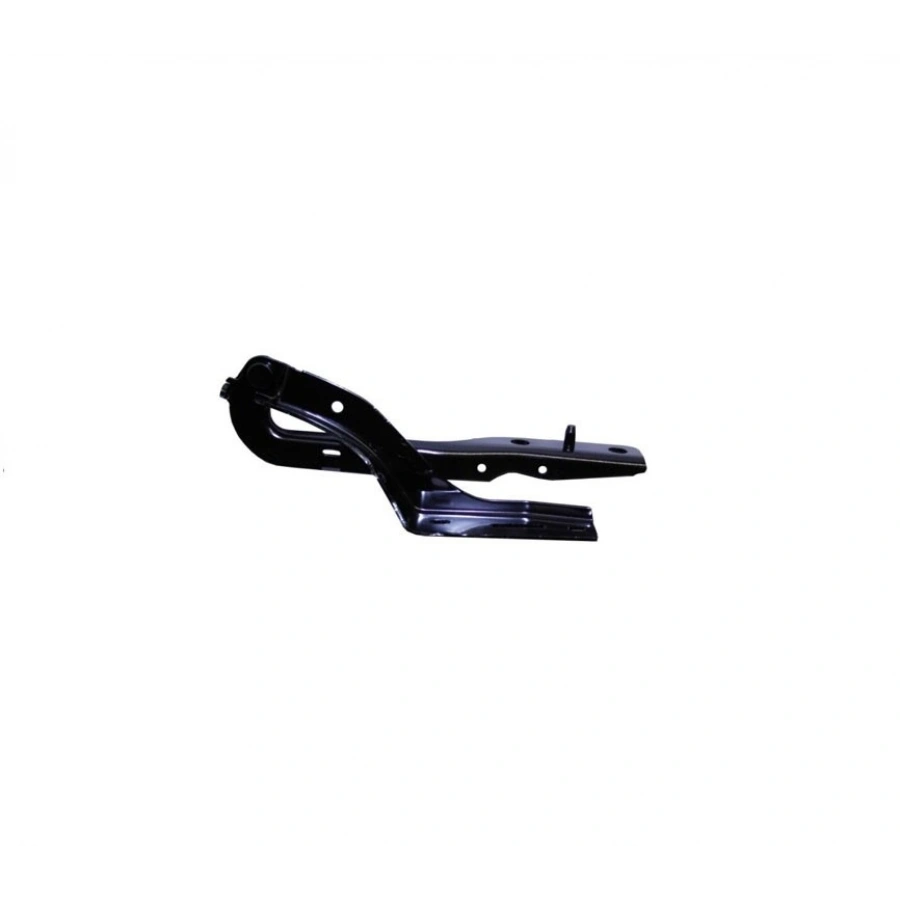 MOTOR KAPUT MENTEŞESİ SAĞ PG 307 2001-