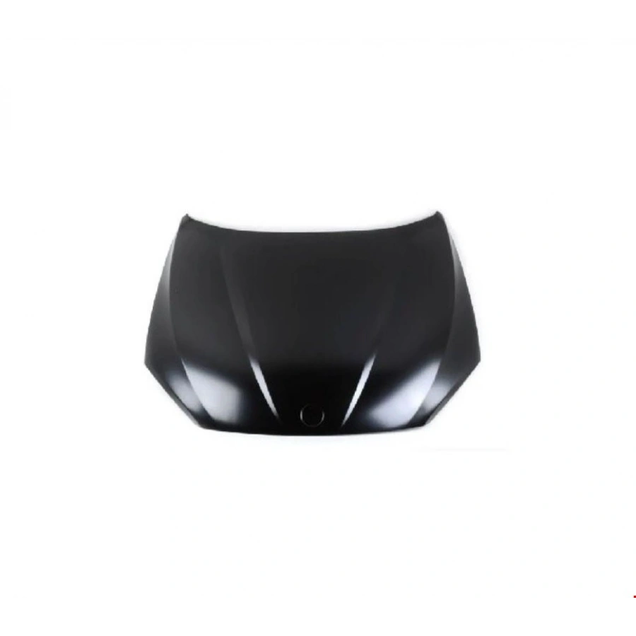 MOTOR KAPUTU (TYG) E84 X1 2009-