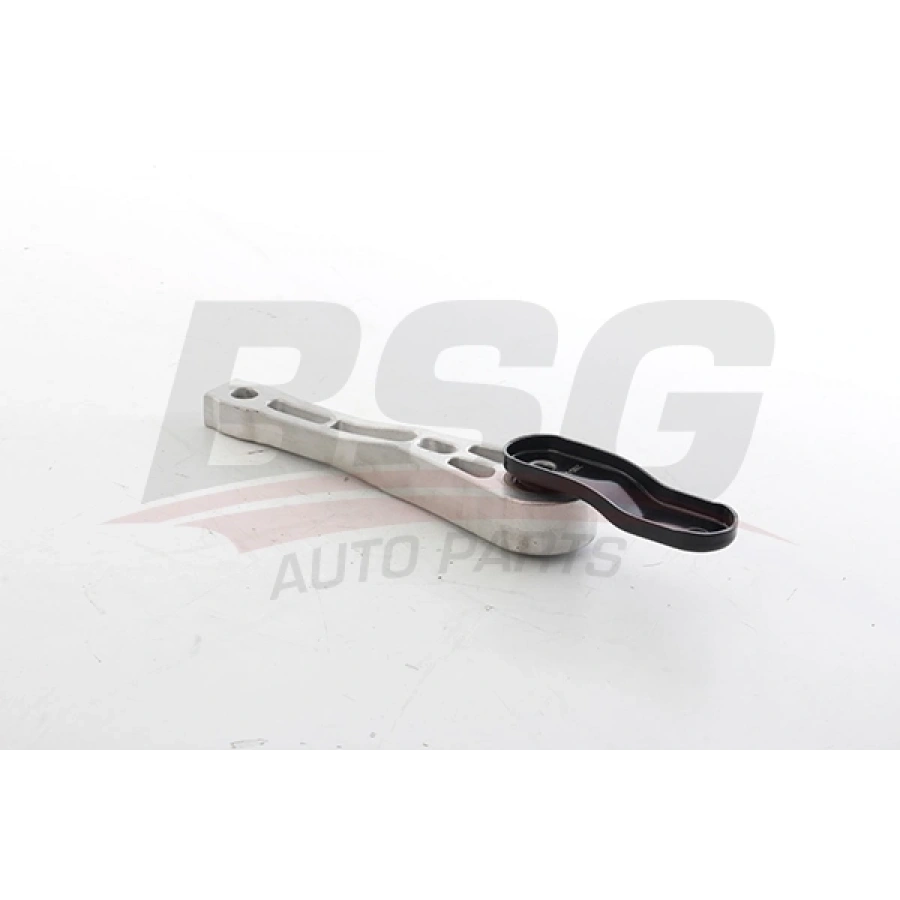MOTOR TAKOZU ORTA SHARAN-TIGUAN BM 10-