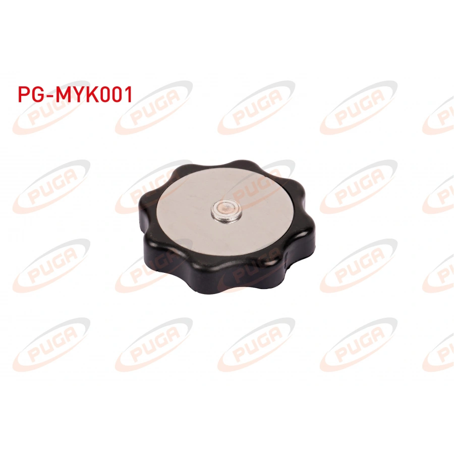 MOTOR YAG KAPAGI RENAULT 12