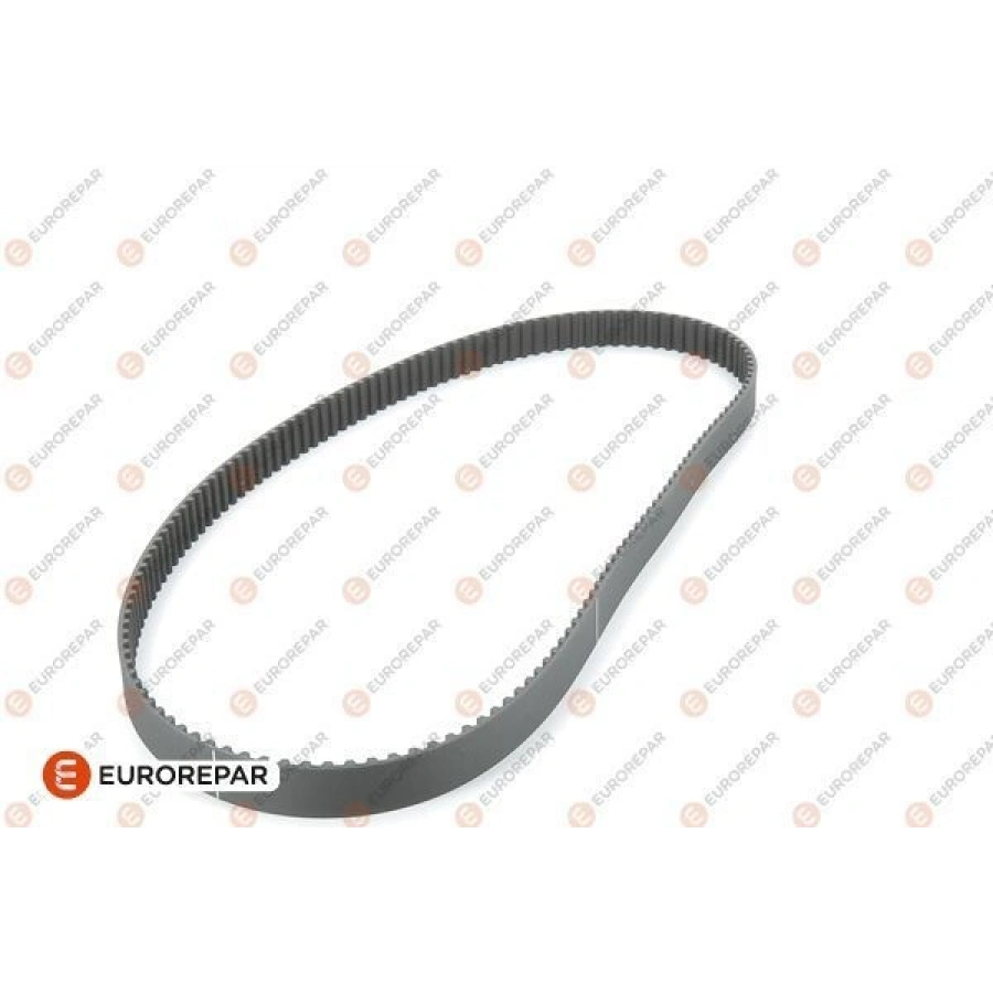 MQPTRIGERKAYISI 97-00