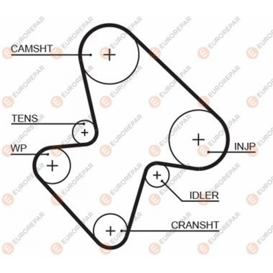 MQPTRIGERKAYISI 97-00