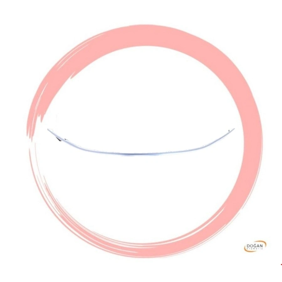 ÖN PANJUR KUŞAĞI ALT KROM EGEA 2021-