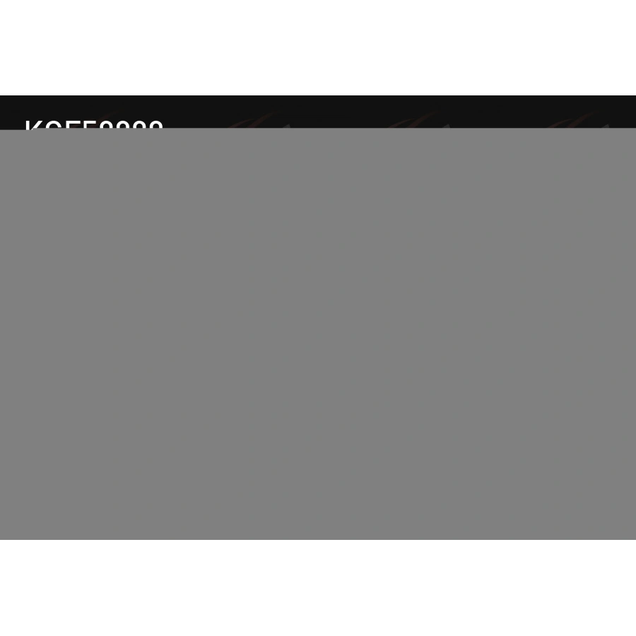 POLEN FILTRE CHERY TIGGO 7 PRO / TIGGO 8 PRO / OMODA 5 / 2022-