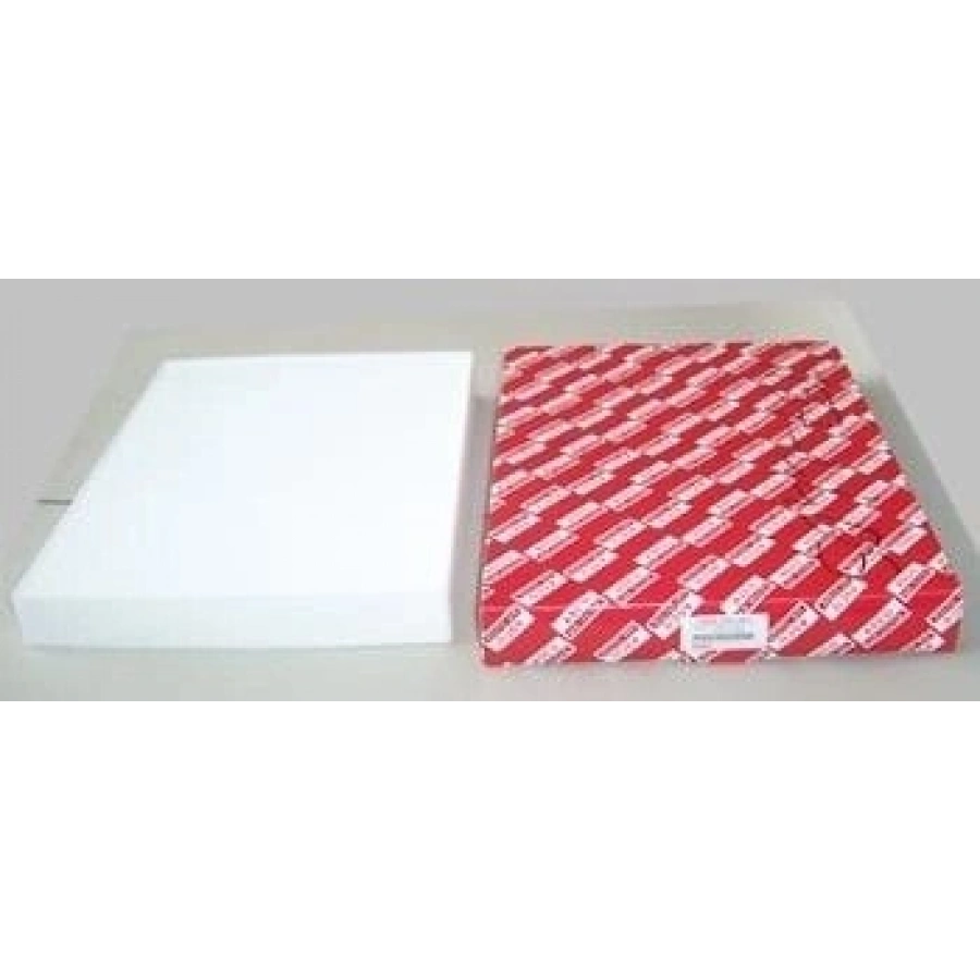 POLEN FİLTRESİ KARBONLU ANTİ ALERJİK