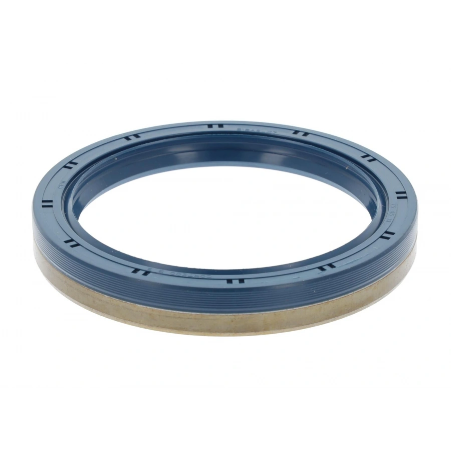 PORYA KEÇESI ARKA T1-T2 BM 81-95