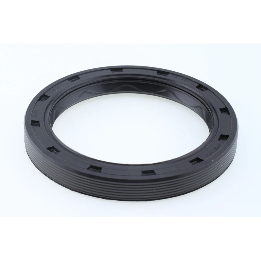 PORYA KEÇESI ÖN MASTER BM 80-01