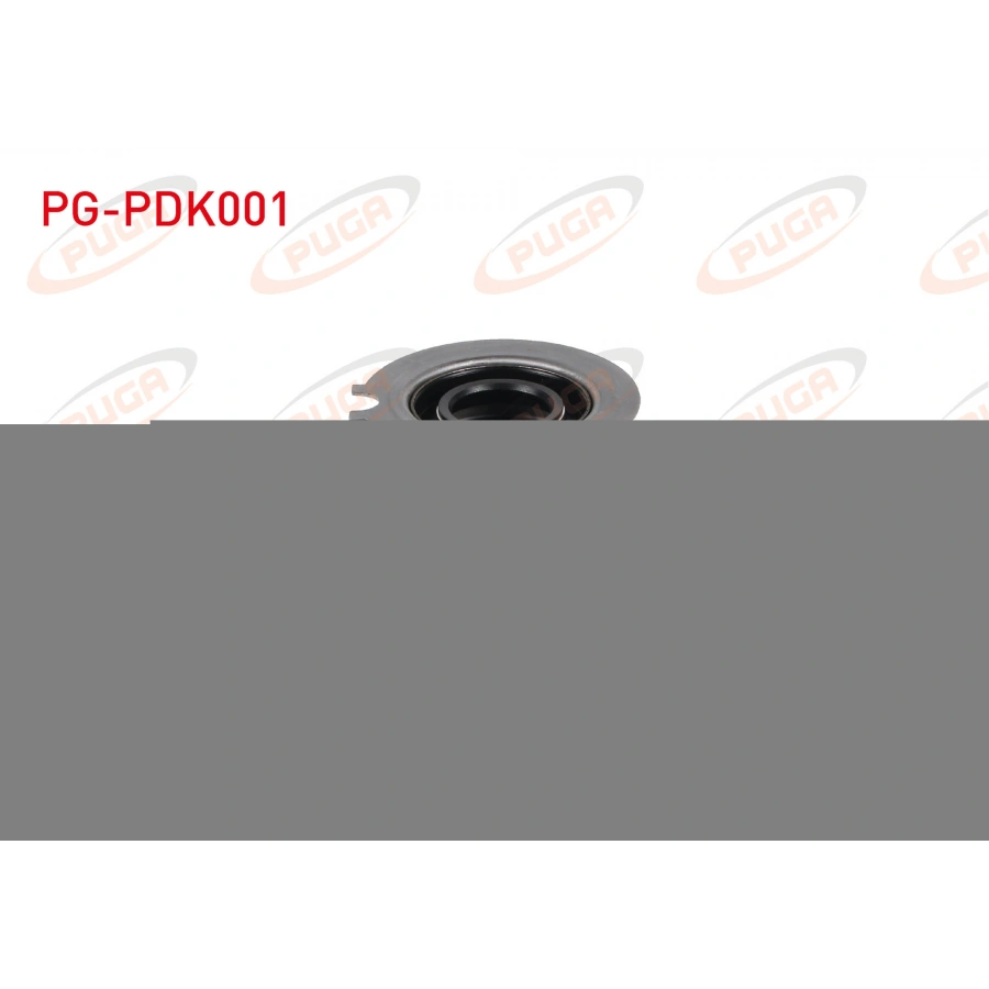 PRIZDIREK KECELI KAPAK M.131 / DKS