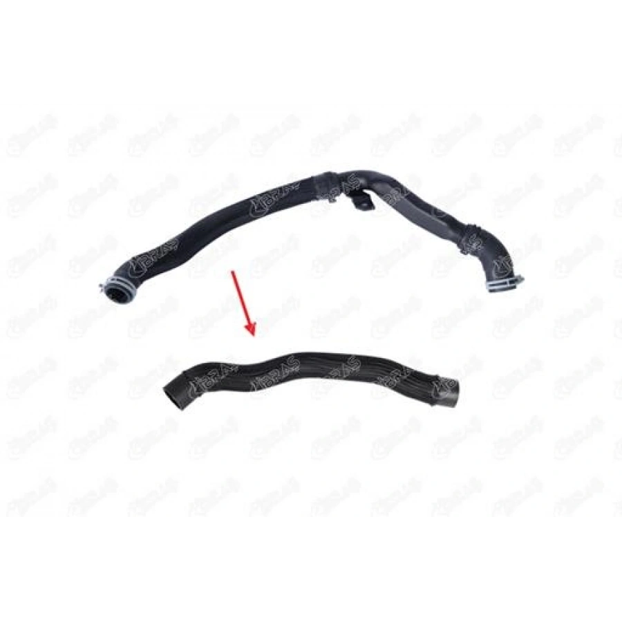 RADYATÖR HORTUMU ALT BÜYÜK TRANSIT V-362 2.0 ECOBLUE 17-