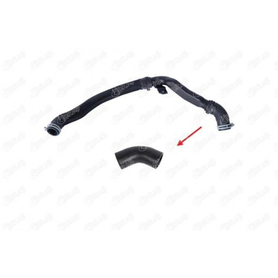 RADYATÖR HORTUMU ALT KÜÇÜK TRANSIT V-362 2.0 ECOBLUE 17-