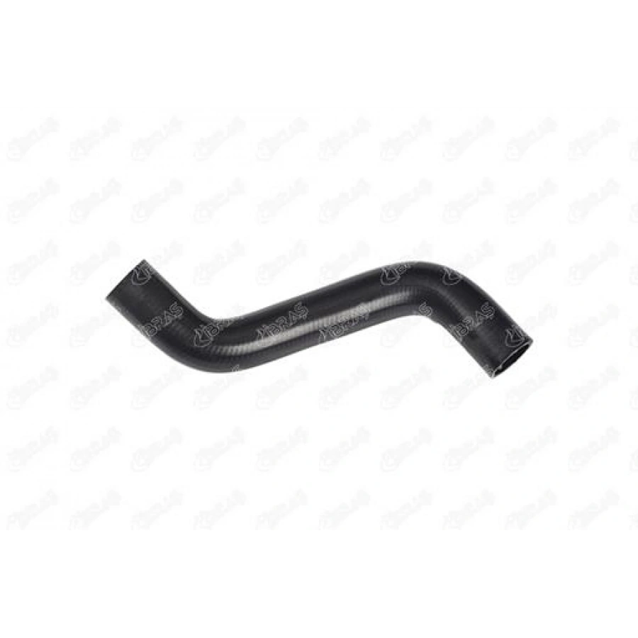 RADYATÖR HORTUMU CARISMA BENZINLI 97-06