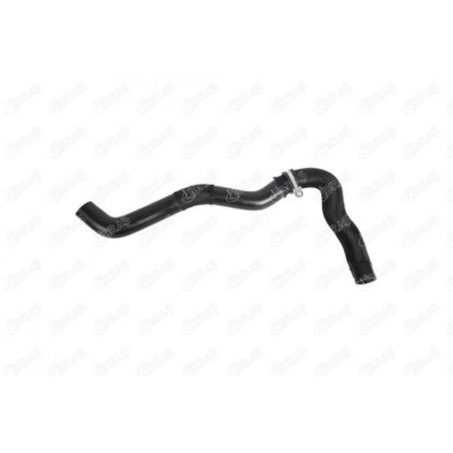 RADYATÖR HORTUMU ÜST LAGUNA III 2.0 DCI 07-