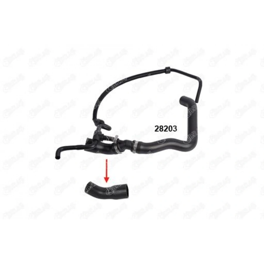 RADYATÖR SU HORTUMU LT-SPRINTER BM 96-06