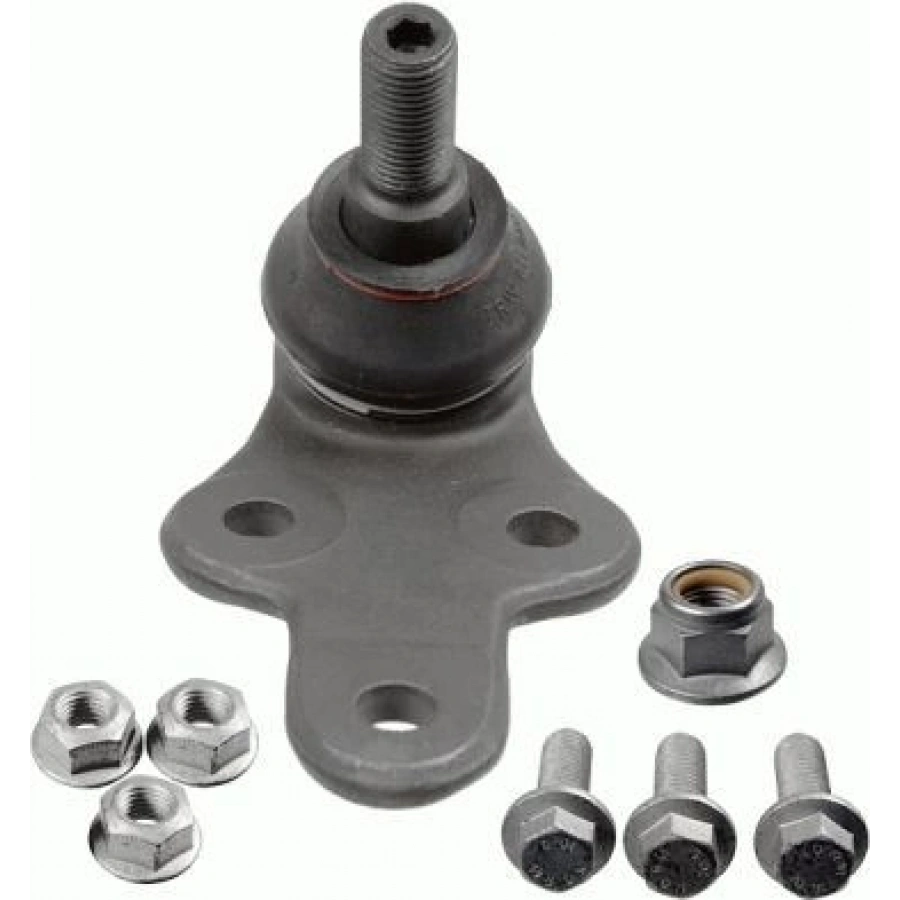 ROTİL ALT FOCUS C-MAX KALIN TİP 05>11 R1