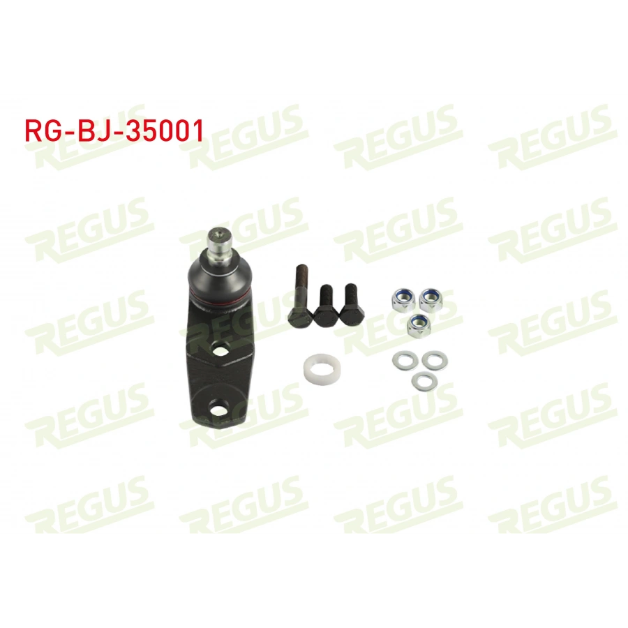 ROTIL KITI ON ALT DELIK CAPI 10mm RENAULT 19 1991-2001/ 9 - 11 - 21 1981-2000 / CLIO I - II - SYMBOL 1990-2012 / KANGOO I 1998-2008 / MEGANE I - SCENIC I 1995-2003 / DACIA SOLENZA 2003-2007