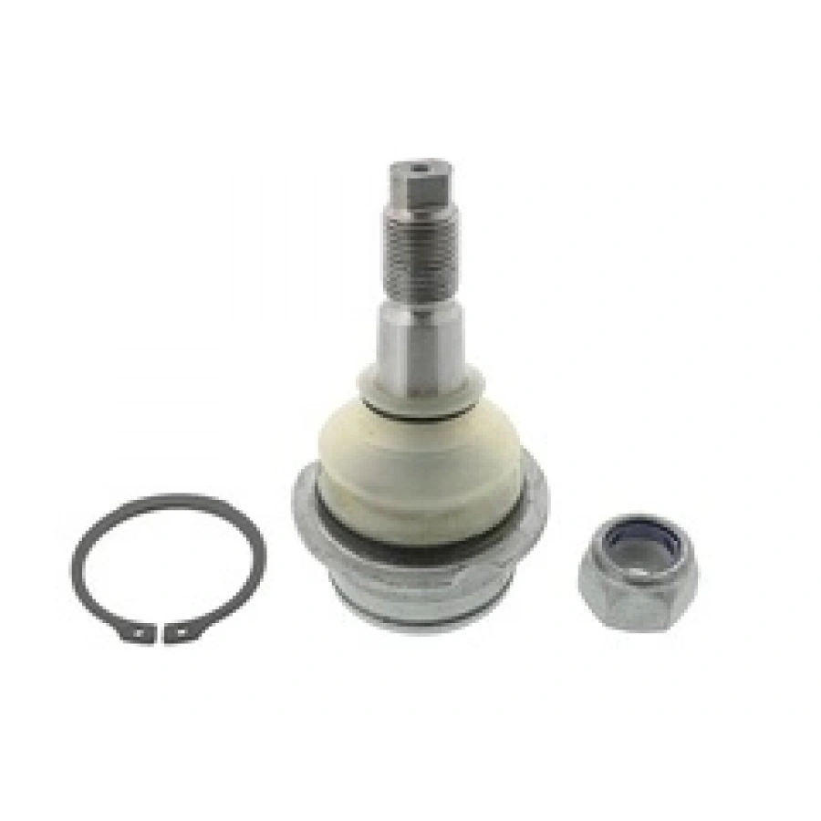 ROTIL ÜST T2-T3 BM 78-