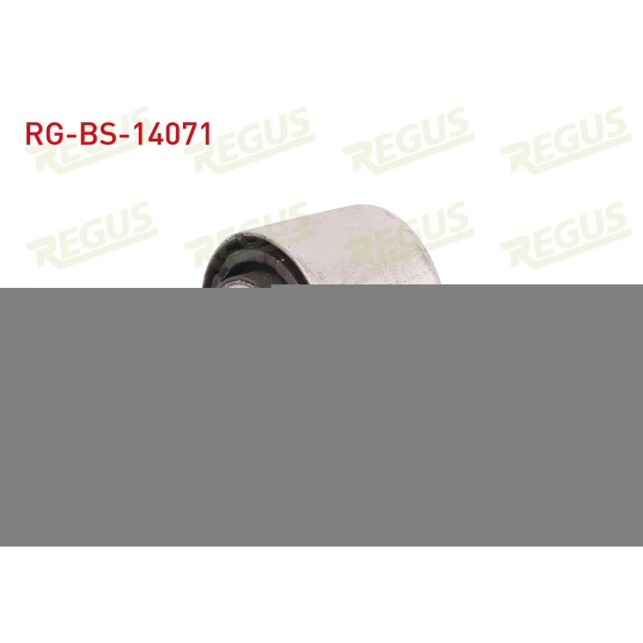 SALINCAK BURCU ARKA SOL-SAG ALT BMW 5 SERISI (F10) 520 D 2010-