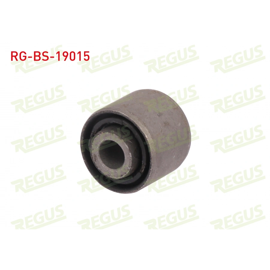 ARKA SALINCAK BURCU FORD FOCUS