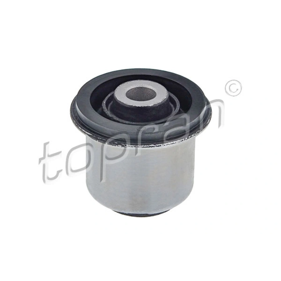 SALINCAK BURCU AUDI A80 87+