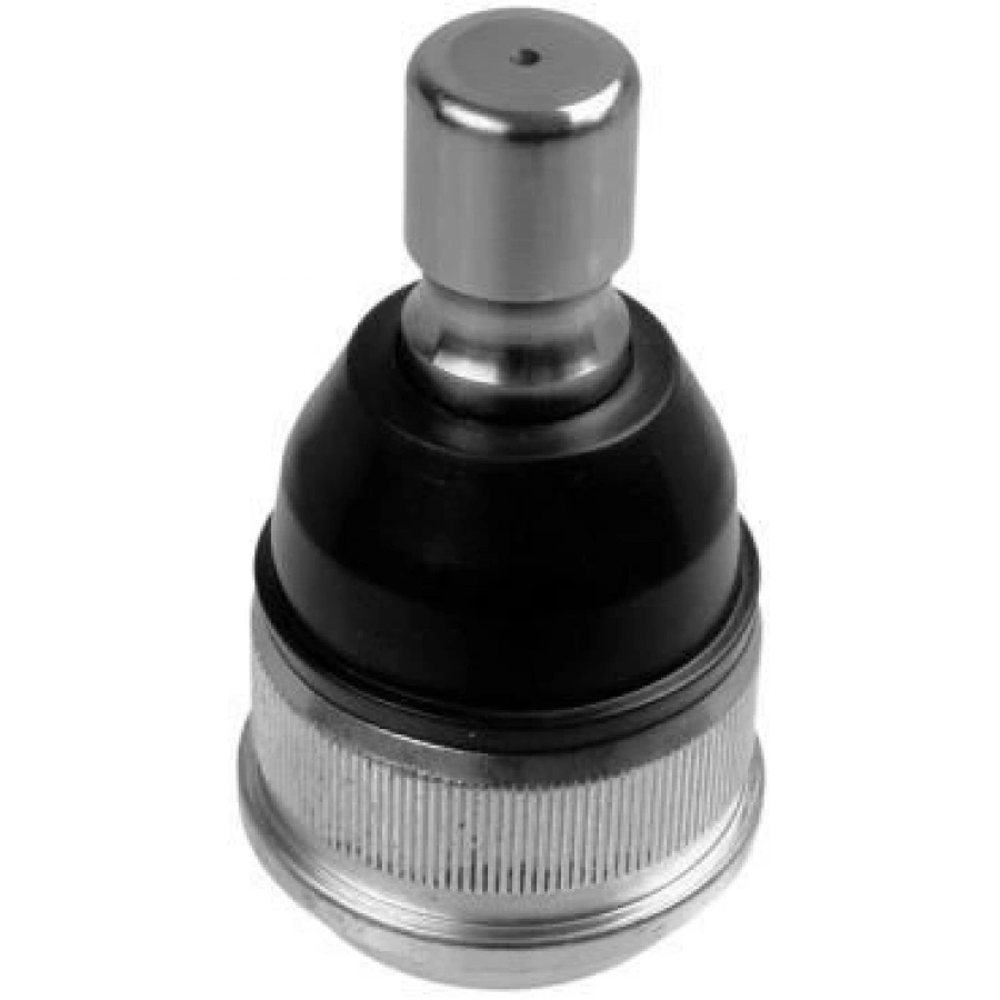 SALINCAK BURCU KAMPANYALI