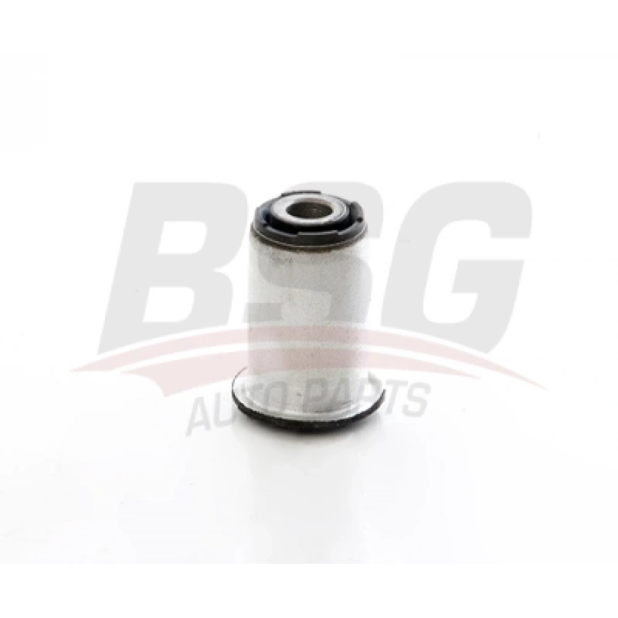 SALINCAK BURCU KÜÇÜK FOCUS BM 18-