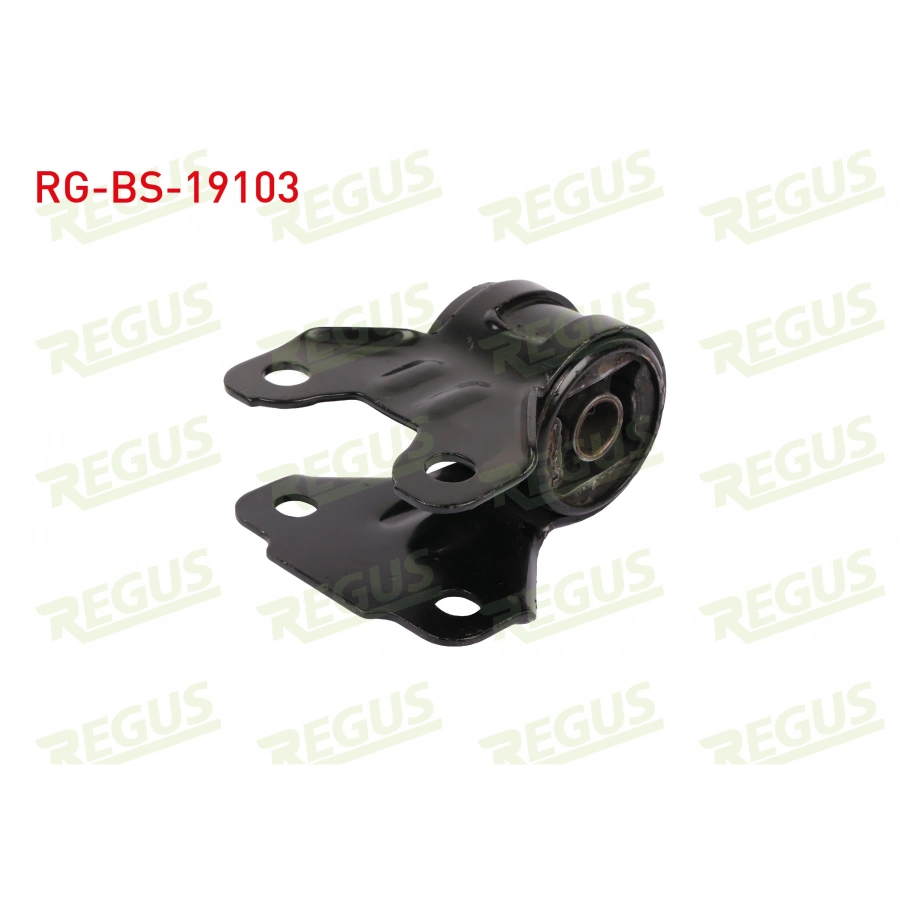 SALINCAK ON SOL ROTILLI SAC FORD TRANSIT CONNECT 2013-