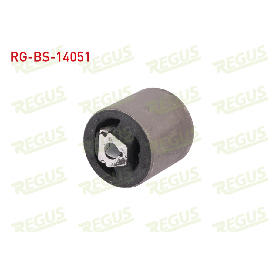 SALINCAK BURCU ALT BMW X5