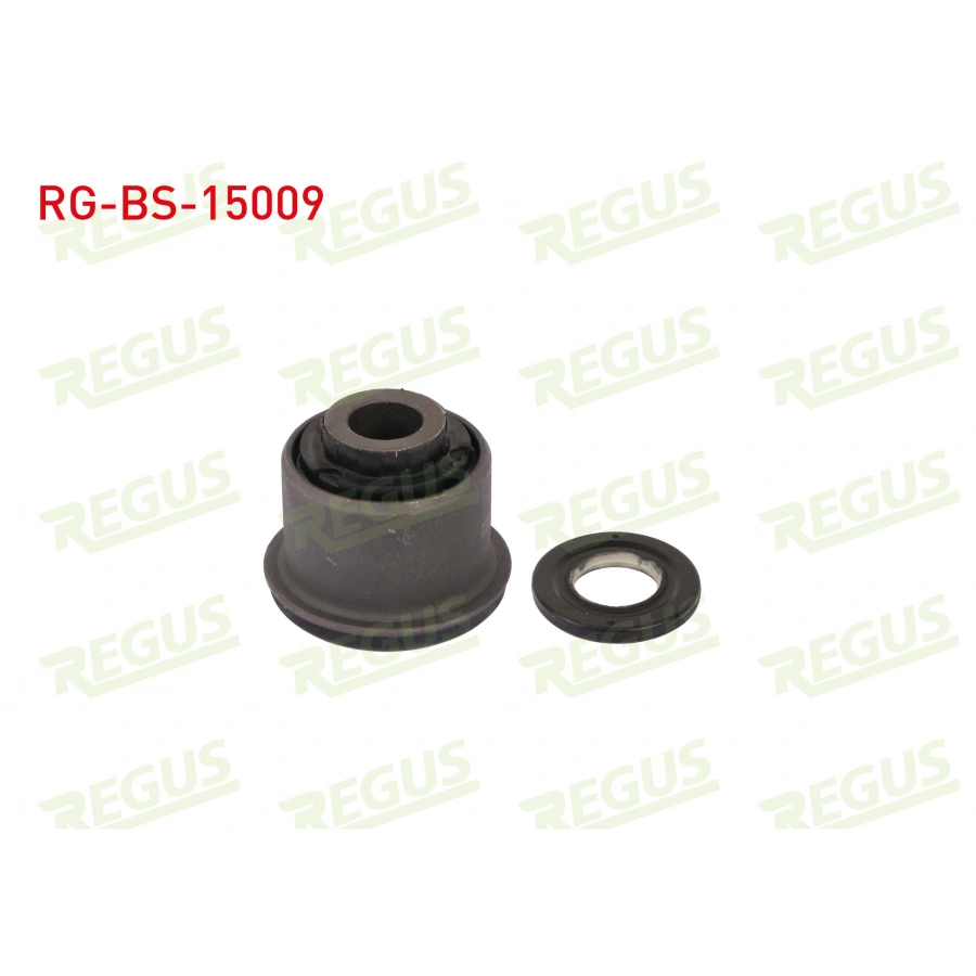 SALINCAK BURCU CITROEN C5 KUCUK