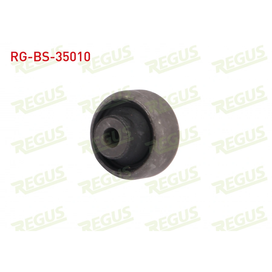 SALINCAK BUYUK BURCU RENAULT MODUS