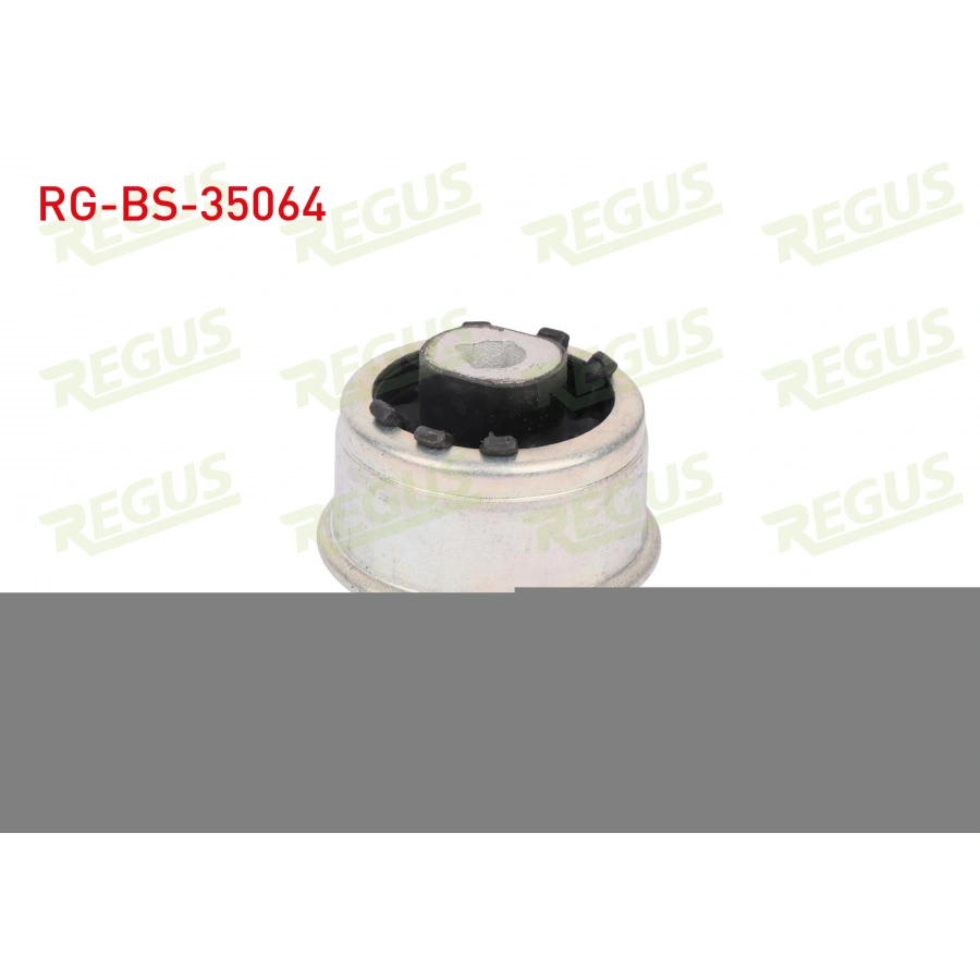 SALINCAK BURCU ON SOL-SAG ALT RENAULT SCENIC III (JZ0/1) 1.4i 16v 2009-