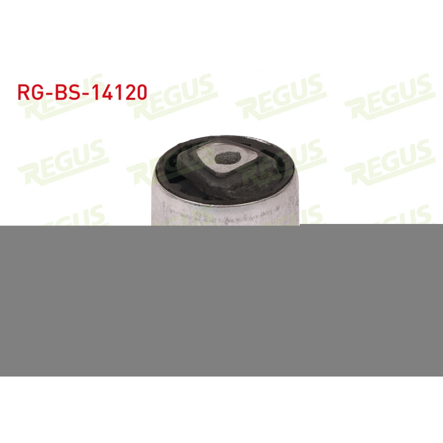 SALINCAK BURCU ON SOL-SAG BMW 5 SERISI (E60) 520 D 2003-2010