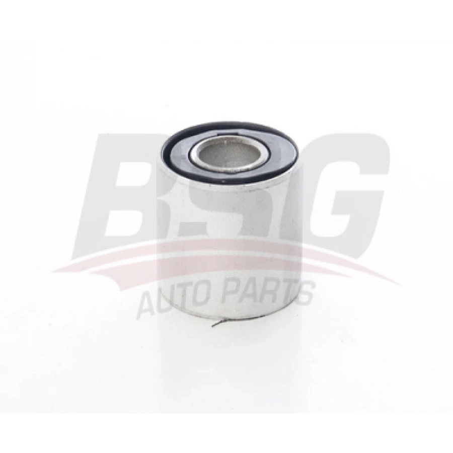 SALINCAK BURCU W164 BM 06-