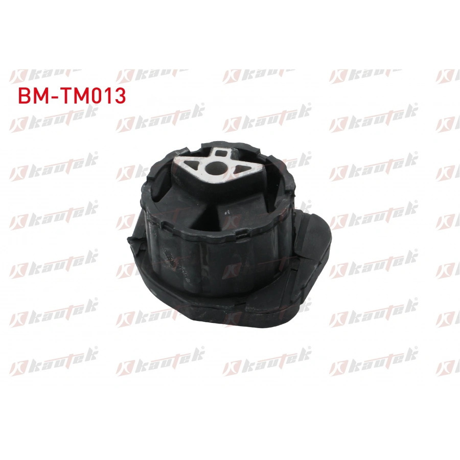 SANZIMAN TAKOZU ON BMW X5 (E70) 3.0 D 2007-2012