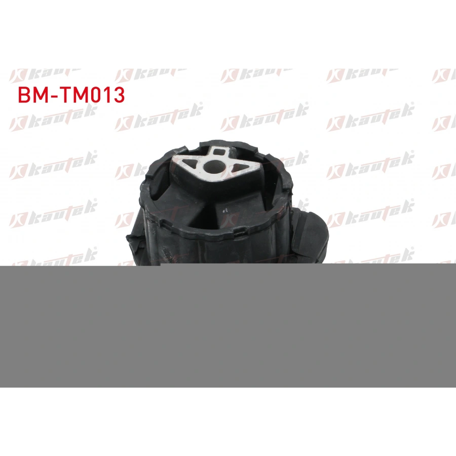 SANZIMAN TAKOZU ON BMW X5 (E70) 3.0 D 2007-2012