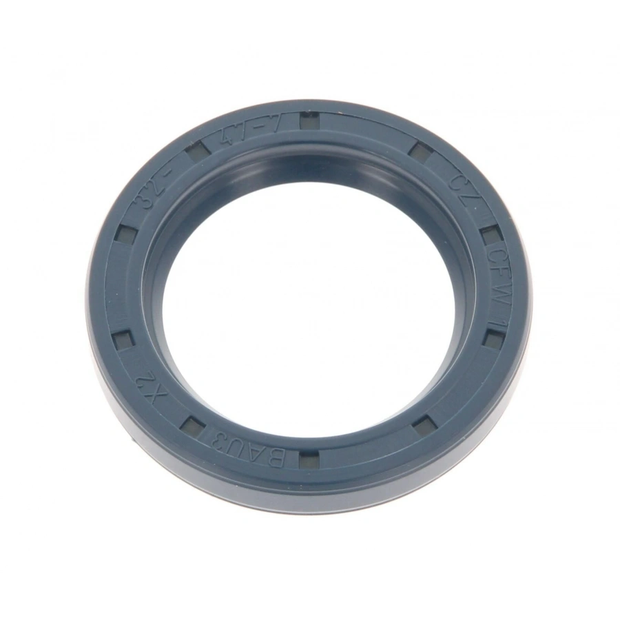 SANZUMAN KEÇESI SANTA FE BM 01-06