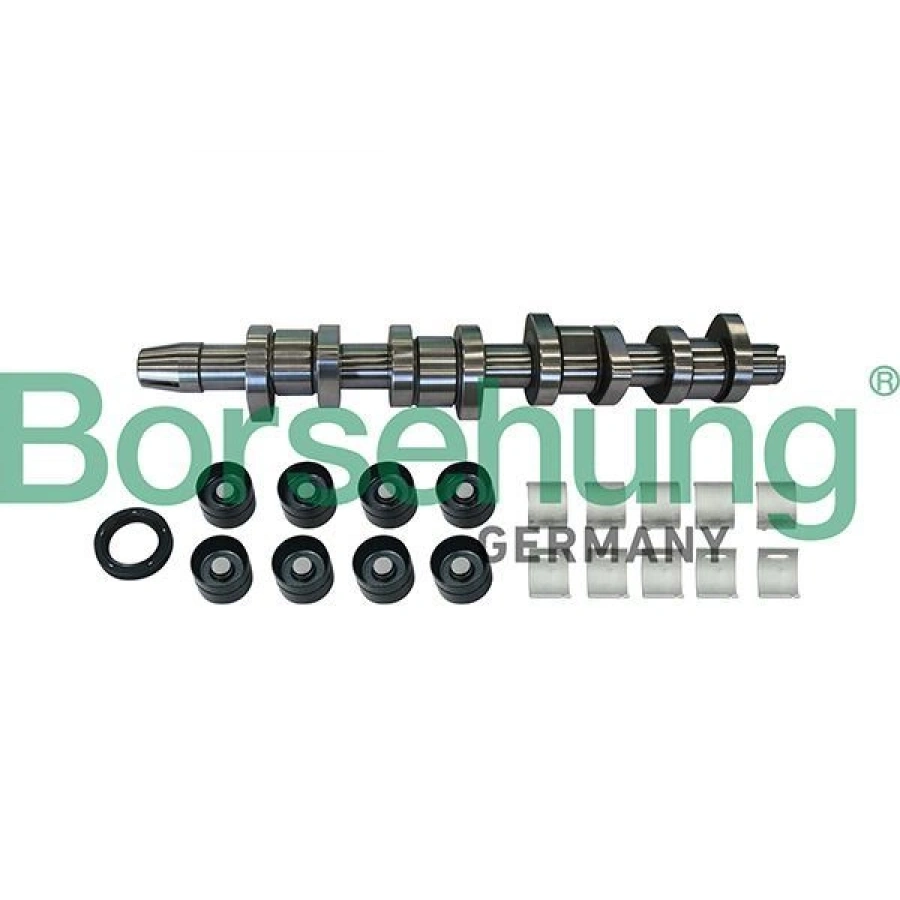 SET EKSANTRİK MİLİ TAMİR SETİ (ÇELİK) (EKSANTRİK MİLİ+İTİCİ 8 ADET+YATAK TAKIM+KEÇE) PASSAT 1,9-T5 2,0 TDI-CADDY-JETTA R1