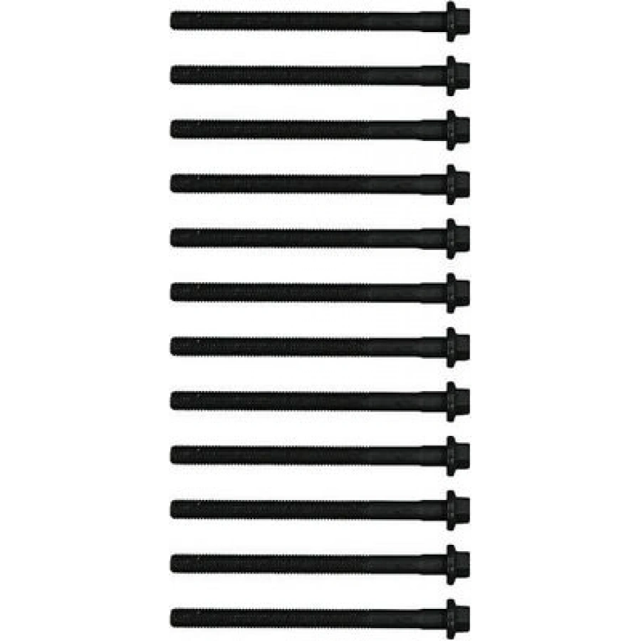 SILINDIR KAPAK SAPLAMASI SET (12X) S40/S60 BM 00-