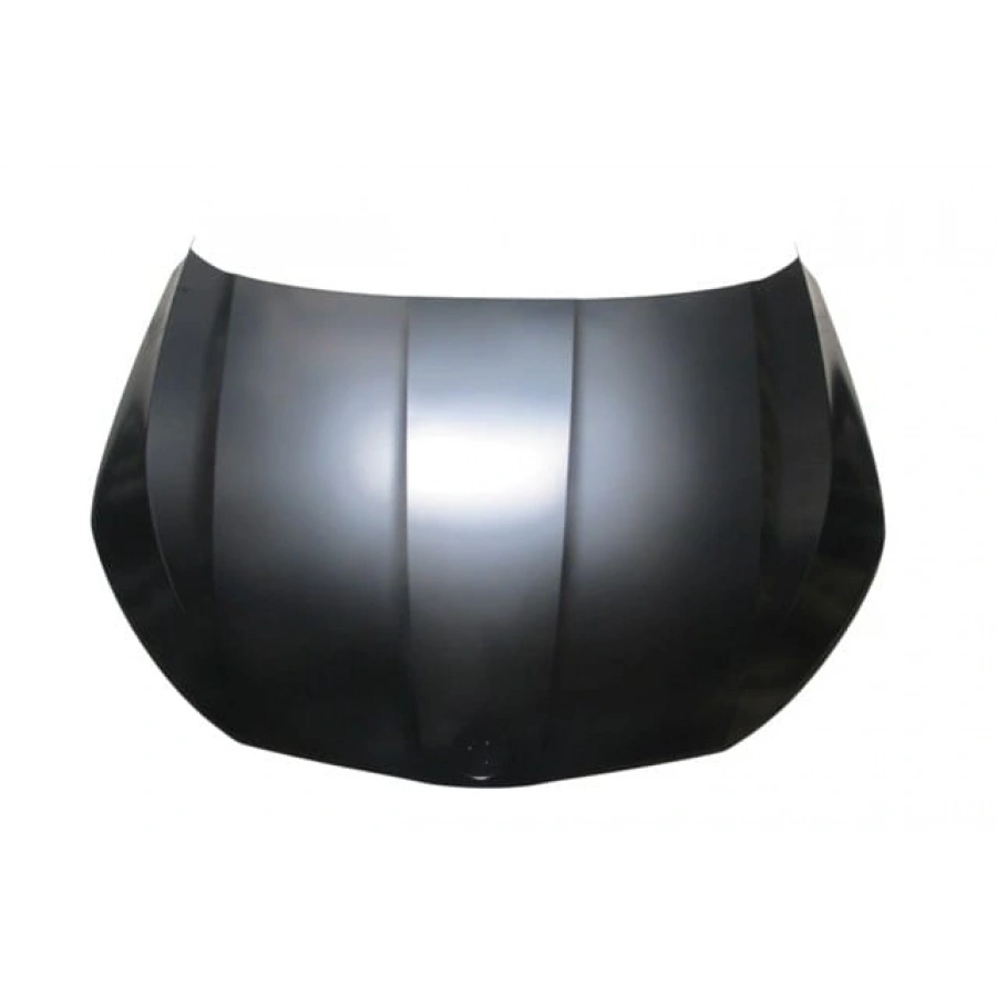 SKODA OCTAVIA- 20/24; MOTOR KAPUTU (TYG)