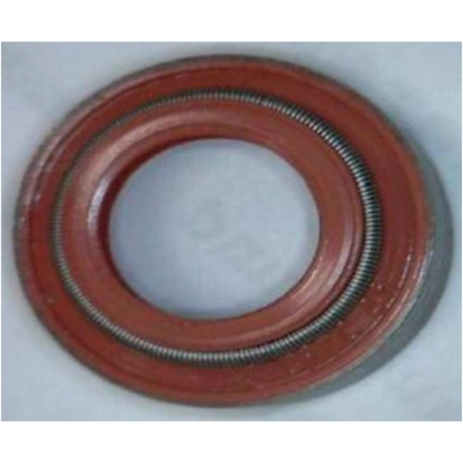 SUPAP LASTIGI 10,0-13,60/17,30X9,50 IVECO-DAILY III BM 04-