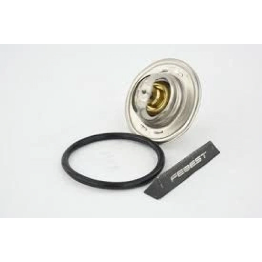TERMOSTAT