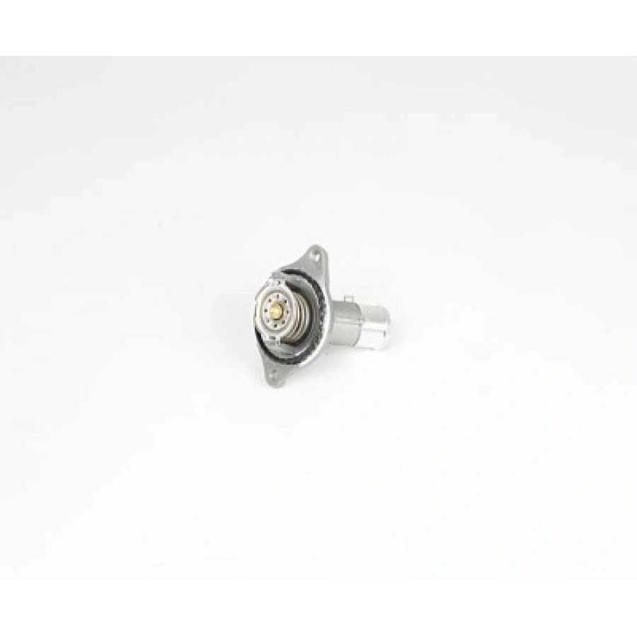 TERMOSTAT 306/406 B.M 94-