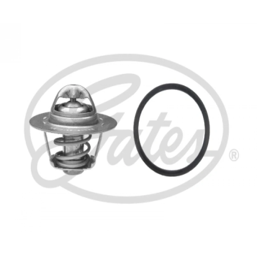 TERMOSTAT LAGUNA 2.0 98-